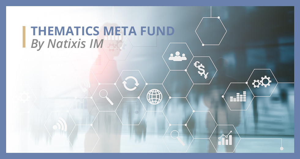 THEMATCI META FUND de Natixis - fiche produit