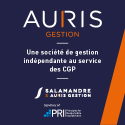 Auris Gestion, au service des Conseillers en Gesiton de Patrimoine